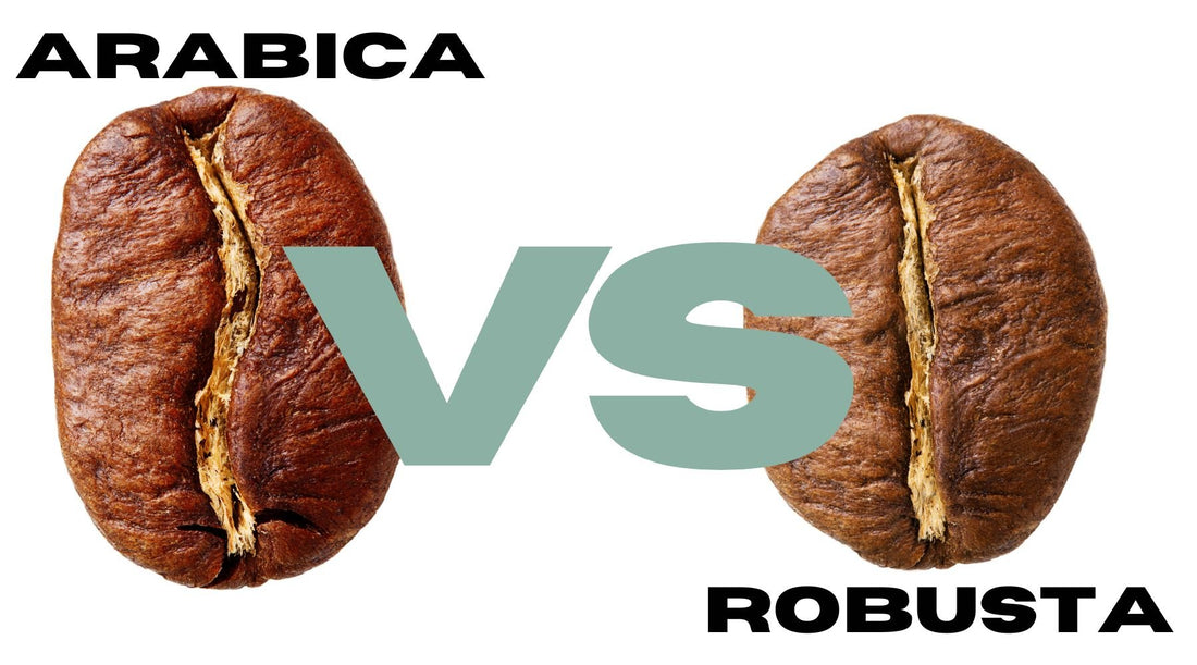 Arabica vs. Robusta: 12 Differences Between the Coffee Beans | The Ultimate Master Class - Twisted Goat Coffee Roasters
