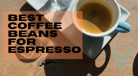The Best Coffee Beans for Espresso in 2026
