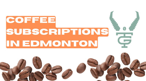 Coffee Subscription Edmonton: Rewards That Actually Save You Money
