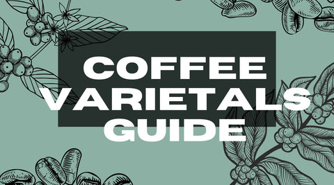 Coffee Varietals: A Guide to Coffee Varieties
