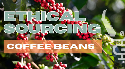 Ethical Sourcing of Coffee Beans: What It Means & What to Look For