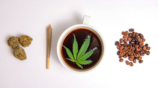 What Is CBD Coffee? - Twisted Goat Coffee Roasters