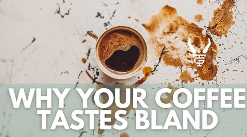 Why Your Coffee Tastes Bland | 6 Easy Fixes for Better Flavor