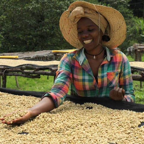 Ethiopian Yirgacheffe Coffee